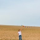 데일리마트 이미지