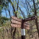 산성면 행정복지센터 이미지