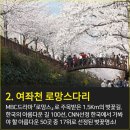 ♣3/31(일) 진해 군항제와(여좌천 경화역 해군사령부) 벚꽃축제와 장복산 진달래 산행 이미지