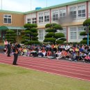 세화초등학교 이미지