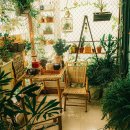 여름철 라탄 소품 만들기 이미지