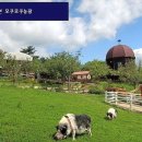 노암농장 이미지