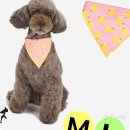 코디애견샵 이미지