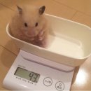 하우해브유빈