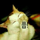 (주)좋은아침 이미지