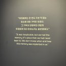 5년을 기다린 서울 여행 😢💗
