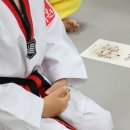 고려대 김세원 태권도 이미지