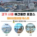 엠호텔 | 🐶 강아지와 함께한 대부도 오션뷰 호캉스, 시흥 거북섬 웨이브엠 호텔 웨스트 후기
