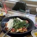 남강오리 이미지