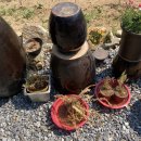 수반농장 이미지