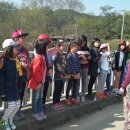 파주송화초등학교 이미지