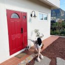 시고르하우스 이미지