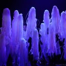 동작문화유산의 시간산책 이미지