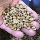 플로리다 농장 이미지