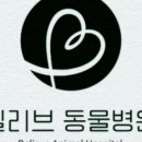 빌리브동물병원 이미지