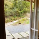 종자리로2 | 세 번째 방문자의 춘천 '밀봄숲' 솔직 후기: 시골빵 하나에 계절마다 돌아오게 되는 집