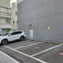 지동범 동물 안과 치과병원 이미지