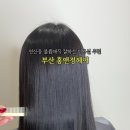 홍앤