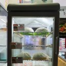 GS25 성내한빛 | GS25 10월행사 페이코 호빵 100원 &amp; 할로윈파티해요.