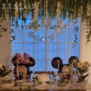 찐스튜디오 이미지