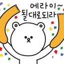 킹콩좌대 이미지