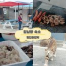 서울민박 | 갈남항 민박 숙소 형진이민박 가격 스노쿨링 삼척 여행