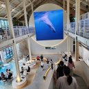 GS25 강화가나안점 이미지