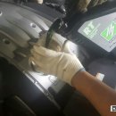 로얄렌트카 이미지