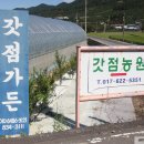 갓점농원 이미지