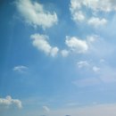 백년축산 이미지