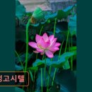 현정고시텔