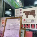 청담과일