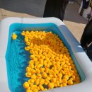 올랑가별미길 이미지