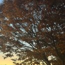 티피캠핑장 | 양평 몽캠핑장 아이들과도 가기 좋은 캠핑장 두가족 2박후기