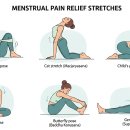 생리통 완화 스트레칭 이미지