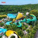 온 가족이 즐기는 「숲속음악소풍 시즌2」 | [푸꾸옥 여행] 2025 트로피카 페스트 시즌, 온 가족이 함께 즐기는 혼똔섬 썬월드 여행 일정 추천...