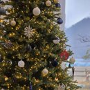 금산-32 | 대전근교 가볼만한곳 금산 대형카페 그리녹 내돈내산 후기