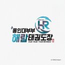 용인대 부부 해람 태권도장 이미지