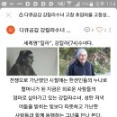 2019년6월8일(토)오후1시~호암마을"강 칼라"수녀님 한국 나눔의삶50주년 축하 행사 초청 이미지