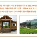 개미통나무 이미지