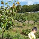 일죽농장 이미지