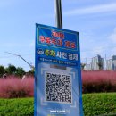 GS25 하남공원점 | 하남 데이트 하남미사경정공원 핑크뮬리 위치 주차 화장실 정보