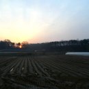 신활농장 이미지