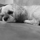 씨애틀 여관 이미지