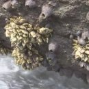 김밥이랑 국수랑 이미지