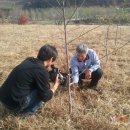 보람 농원 이미지