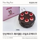 포토스트리트 안성공도점 | 안성케이크 제이델링 또 찾은 이유 리얼초코 1호 후기
