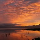 (주)건맨 이미지