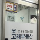 고래부동산중개사무소 네이버블로그