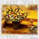 향내약국 이미지